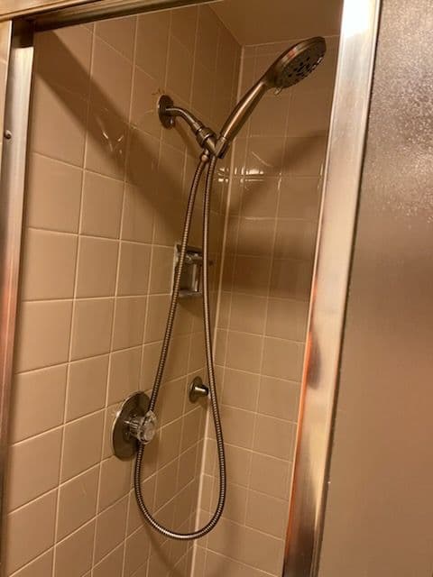 Bathroom Enhancements with Safety Features in Des Plaines image